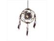 Wolf Windcatcher!