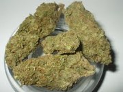 maui and orange kush for patients