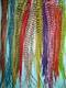 Colorfull rooster feathers