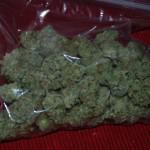 og kush available