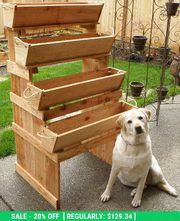 Urban farmer raised elevated planting system 