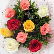 Florist Jacksonville - Spencers Jacksonville Florist FL