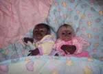 adorable baby capuchin monkey for good homes